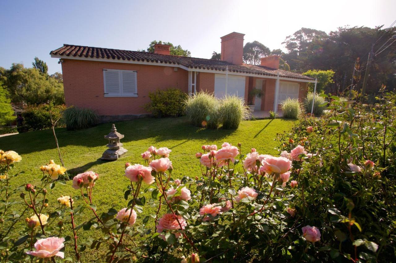 Red Wind Hotel Punta del Este Exterior photo